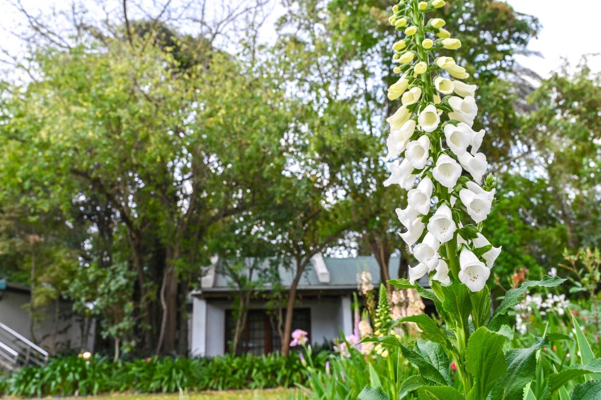 Woodall Country House And Spa Addo Luaran gambar