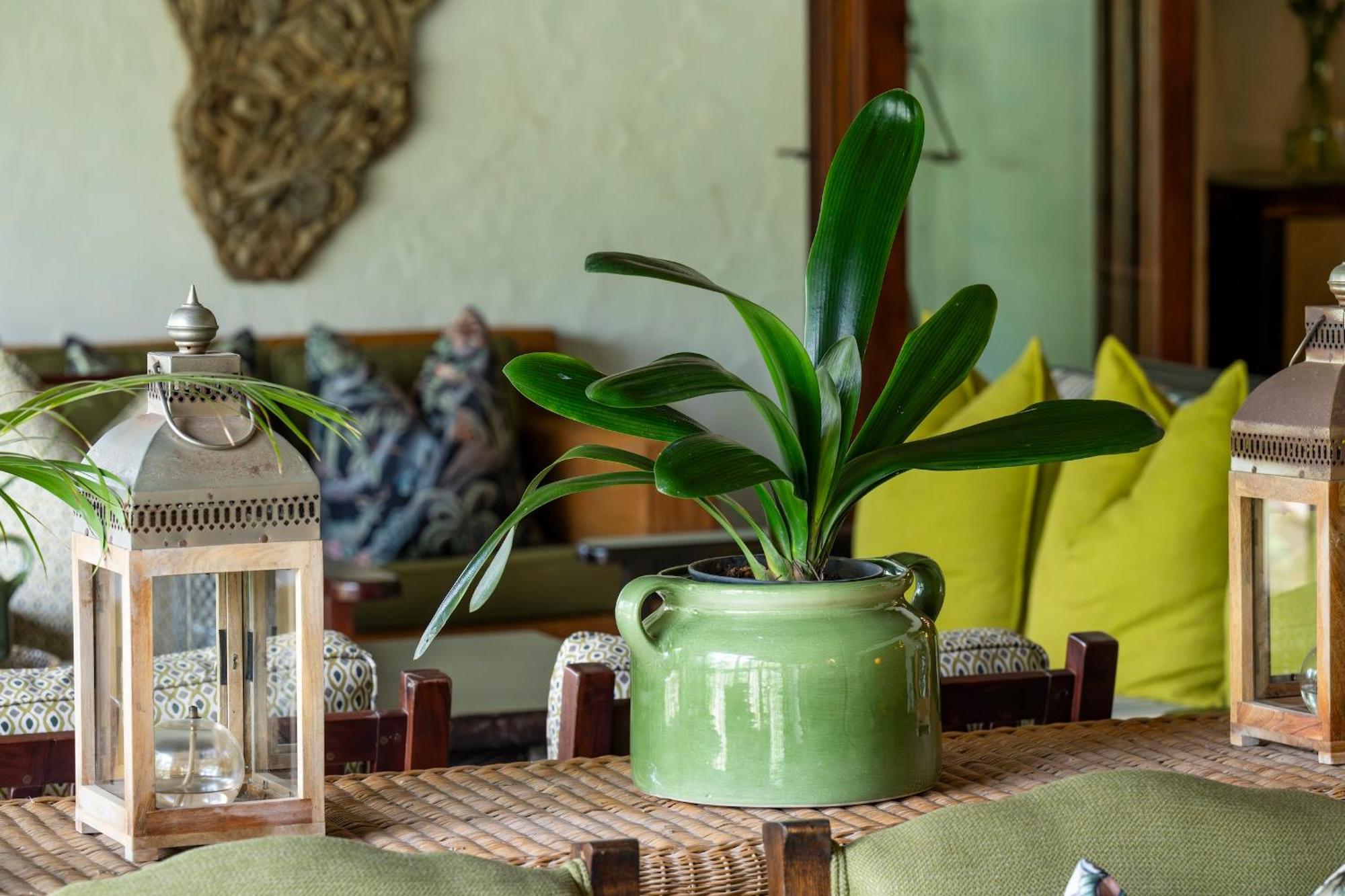 Woodall Country House And Spa Addo Luaran gambar